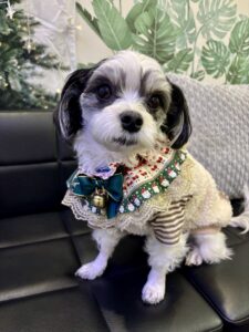 チップ　首飾り2